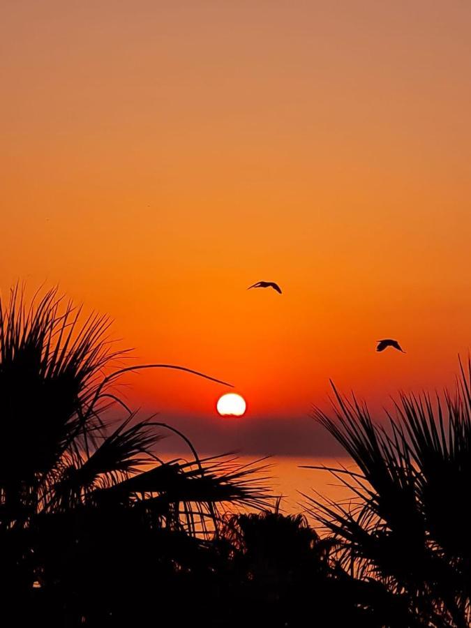 Alex Beach Apartment 51 ลาร์นาคา ภายนอก รูปภาพ